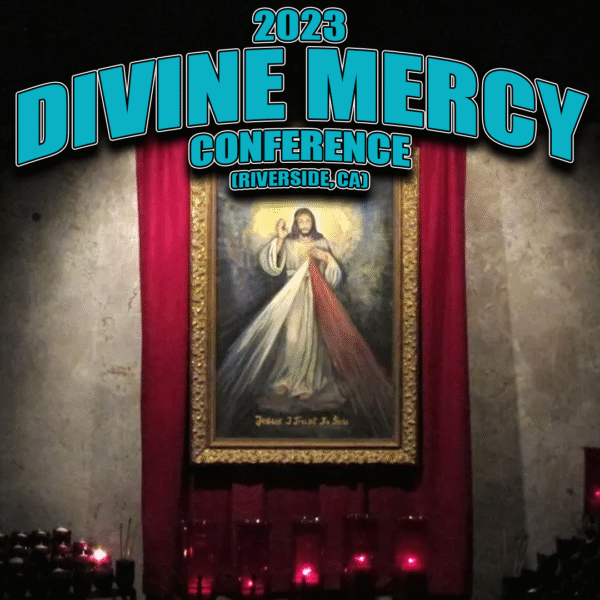 2023 Divine Mercy Conference | Bishop Joseph Strickland, Father Frank Pavone and Father Donald Calloway